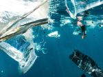 Ocean Threats - plastic pollution