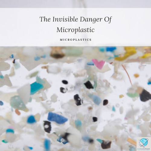 T2 invisible danger of microplastic