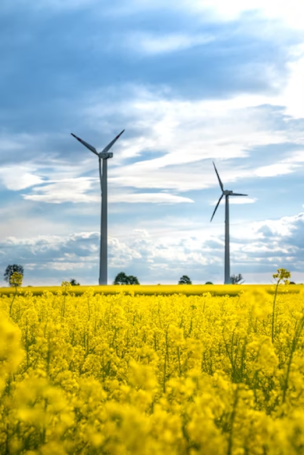 Sustainable career paths