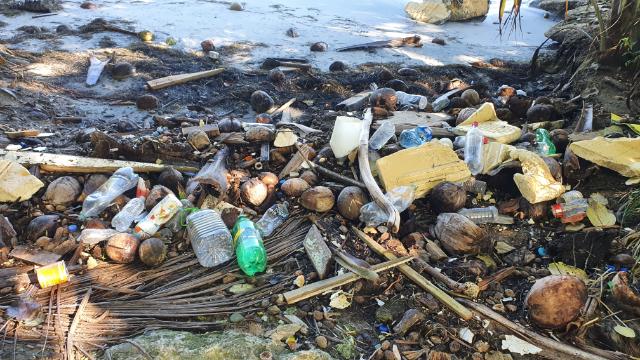 Bocas del Toro Plastic Pollution