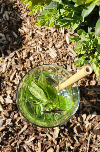 I love the exotic feel of bamboo straws. Photo: Seas & Straws