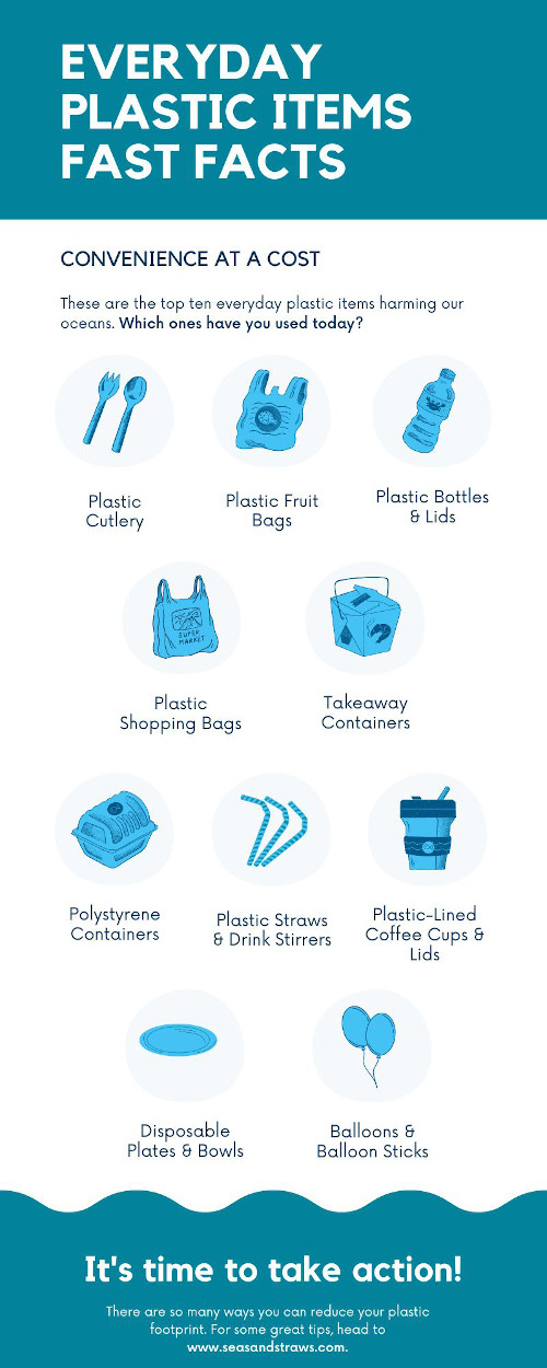 Everyday Plastic Items Fact Sheet. Seas & Straws