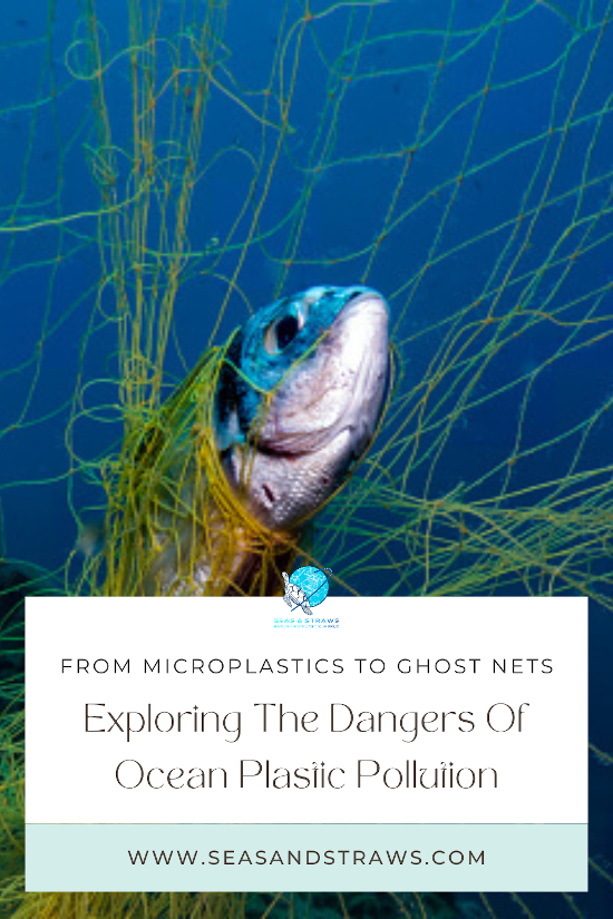 A significant source of contamination affecting the marine environment and its inhabitants is ocean plastic pollution. Three types of marine debris have gained increasing attention in recent years. Let's take a look.