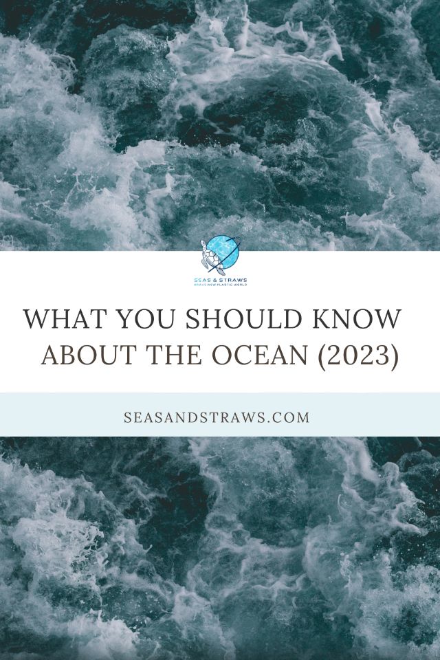 Pin What you should know about the ocean