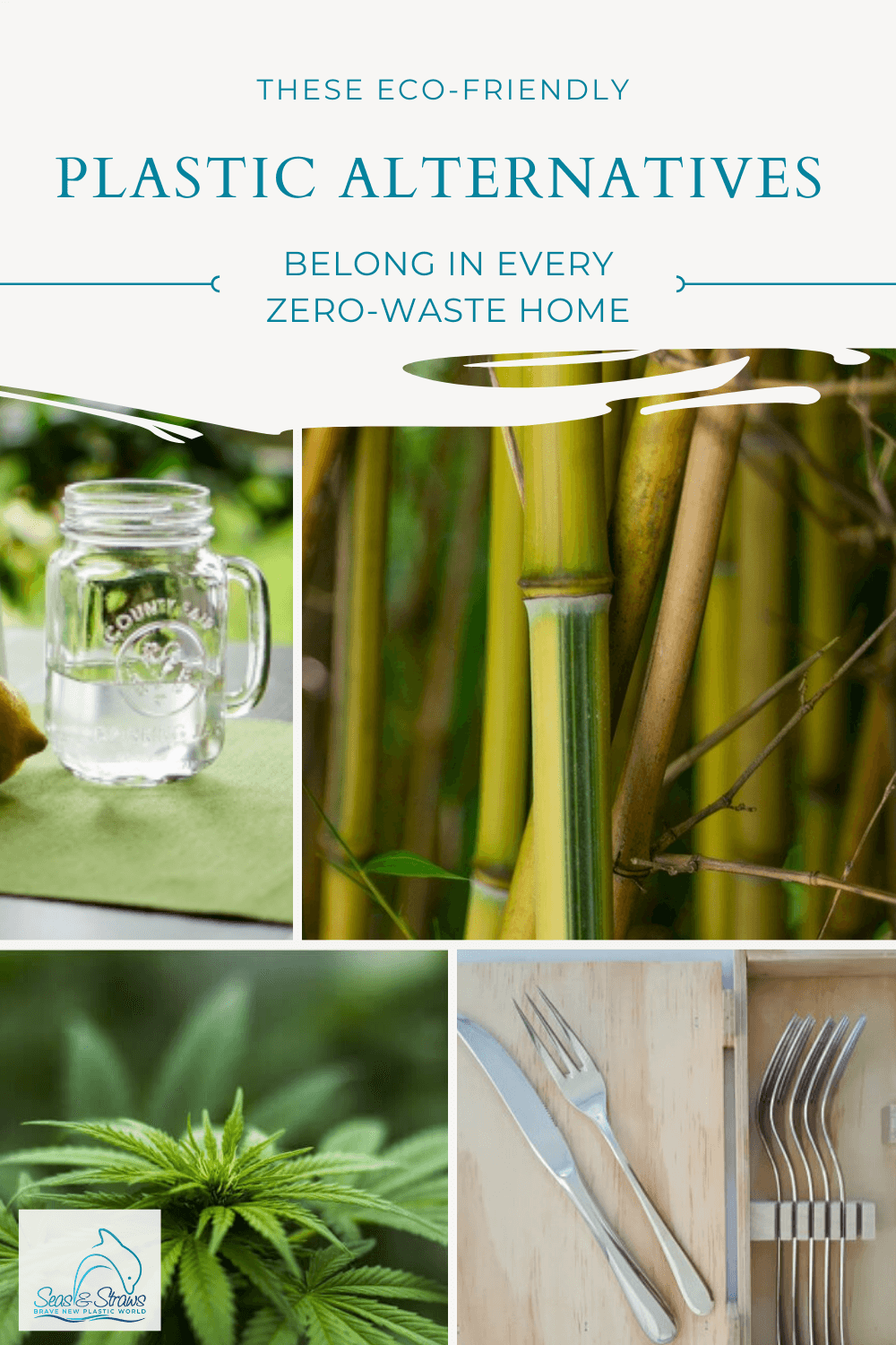 10 Eco-friendly bamboo facts - a zero-waste, plastic free organic plant