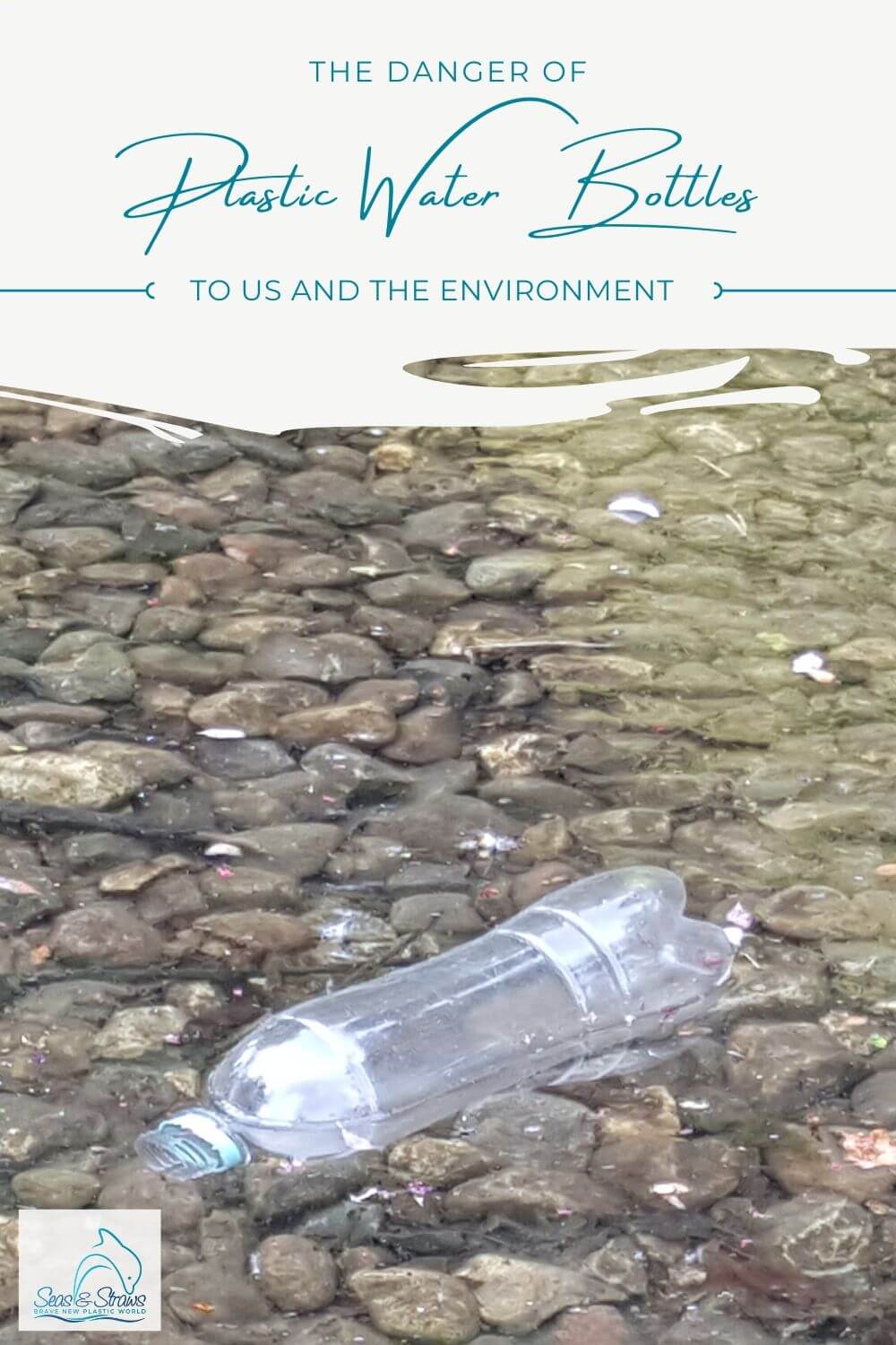 The impact of plastic water bottles