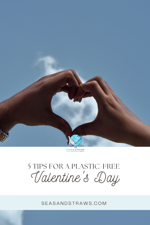 5 ideas for a Plastic-free Valentine's. Seas & Straws