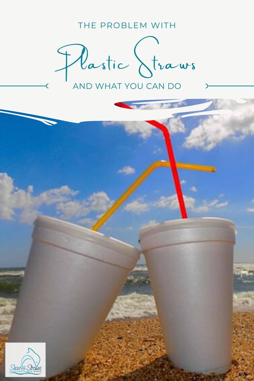 Find out why plastic straws are one of the biggest environmental pollutants, how they end up in the ocean and what you can do. 
