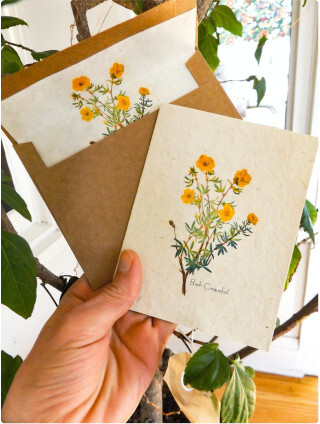 Plantable, handpainted card with seeds. Photo: ©MarissaKayApothecary @ Etsy.
