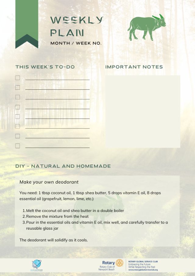 Plastic-free through the year - Page3