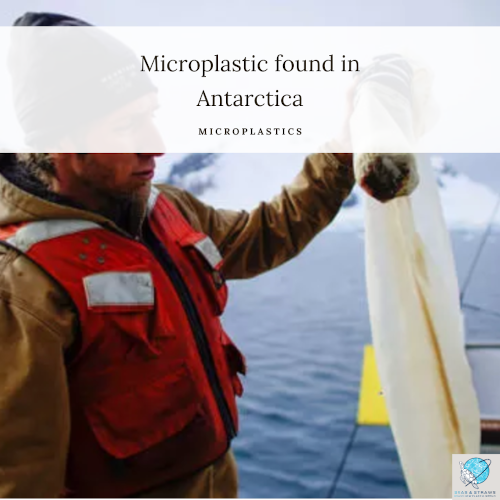 T2 microplastic found in Antarctica