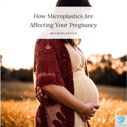 T2 microplastics in pregnacy