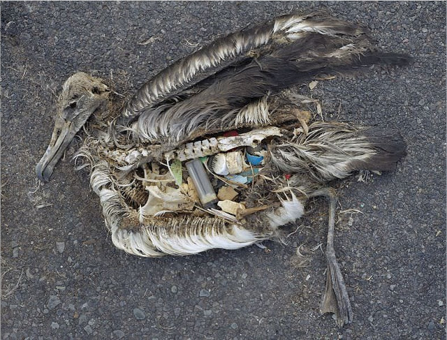 What's the problem with plastic? Its invention was a blessing, but also a curse to modern society. It created an on-the-go throwaway lifestyle that our planet can’t handle.