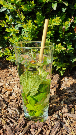 Bamboo straws look exotic and make every drink a highlight. Photo: Seas & Straws