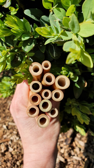 No two straws are the same. Photo: Seas & Straws