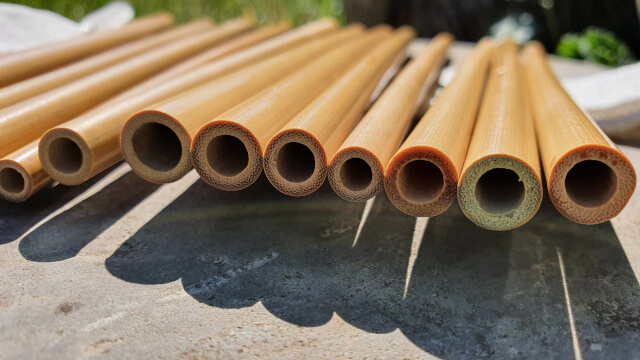 My selection of eco-friendly bamboo straws. Photo: © Seas & Straws