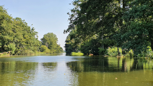 Beautiful day canoing in a nature reserve. Photos: ©Seas & Straws