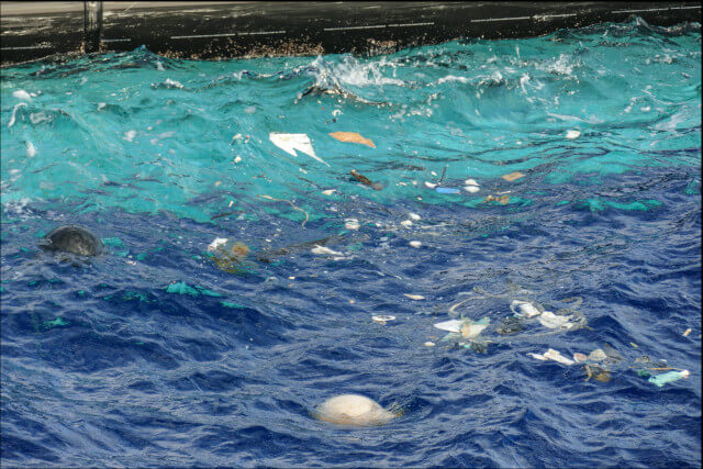 Plastic debris in the GPGP. Photo: © The Ocean Cleanup