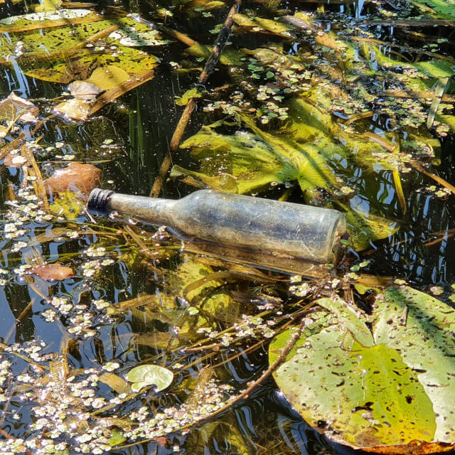 And another glass bottle. Photo: ©Seas & Straws