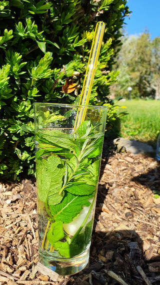 A tall, wide, colourful smoothie straw made of glass. Photo: Seas & Straws