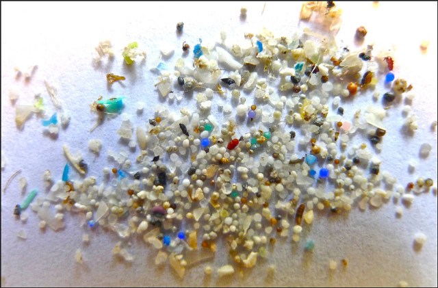 A study found plastic particles in the human body