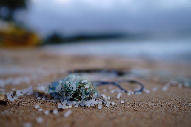 Microplastics can be found in every part of the earth, in every ocean.
