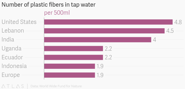 Number of plastic fibers in tab water