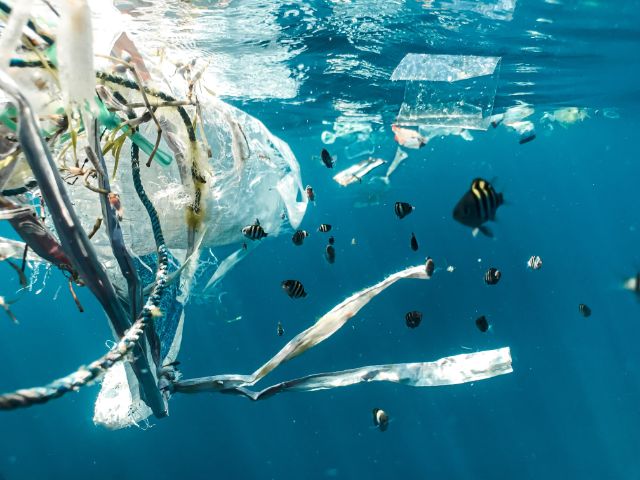 Marine debris is the greatest threat to marine life, killing more than 100,000 marine creatures every year.