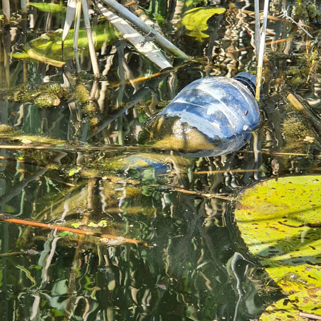 And yet another plastic bottle. Photo: ©Seas & Straws