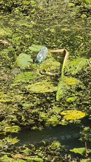 Another plastic bottle. Photo: ©Seas & Straws