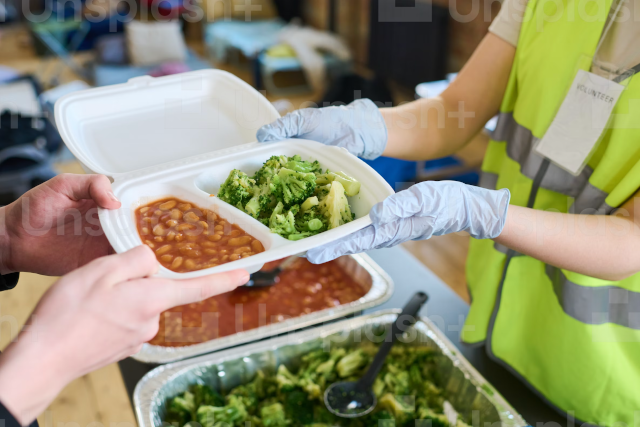 Plastic food containers contain toxic chemicals like BPA