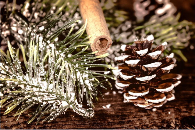 Fir branches, pine cones, leaves, and chestnuts make for beautiful plastic-free Christmas decorations