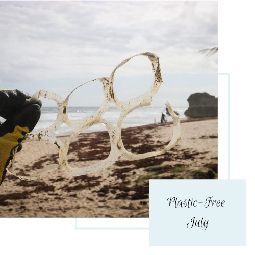 Cover Plastic-Free July. Photo: © Seas & Straws