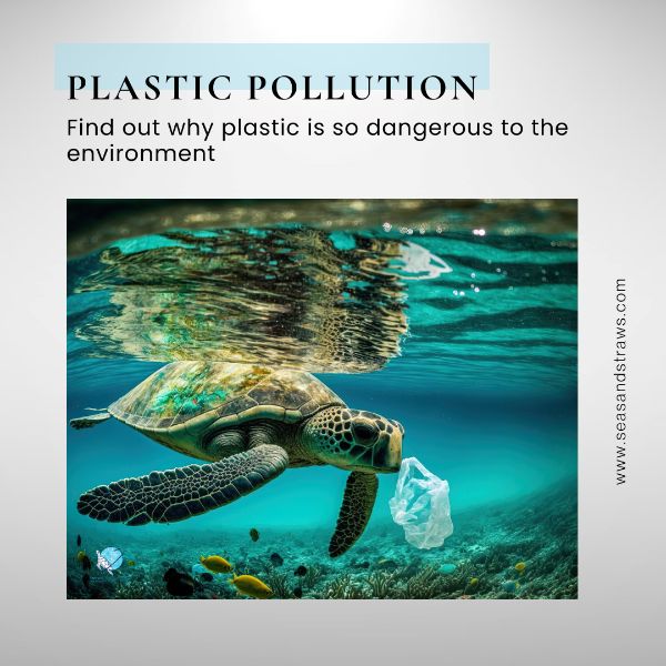 T2 Home Plastic Pollution