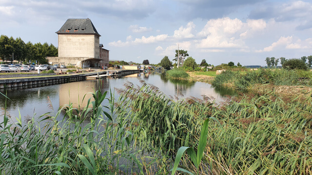 Our daily view during meals. Photo: ©Seas & Straws