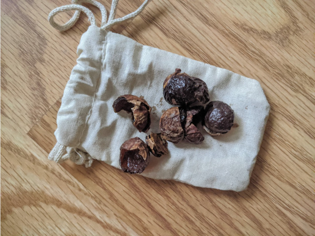 Soap nuts are a completely natural alternative to conventional laundry detergent.