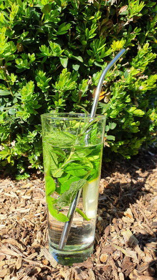 Bent stainless steel straw. Photo: Seas & Straws