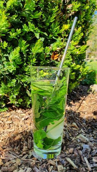 Straight stainless steel straw. Photo: Seas & Straws