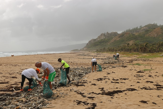 Sustainable Travel Beach Cleanups