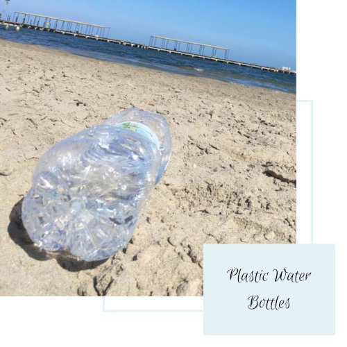 Plastic Water Bottles - Seas & Straws