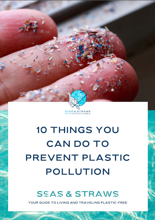 10 things you can do to prevent plastic pollution newsletter
