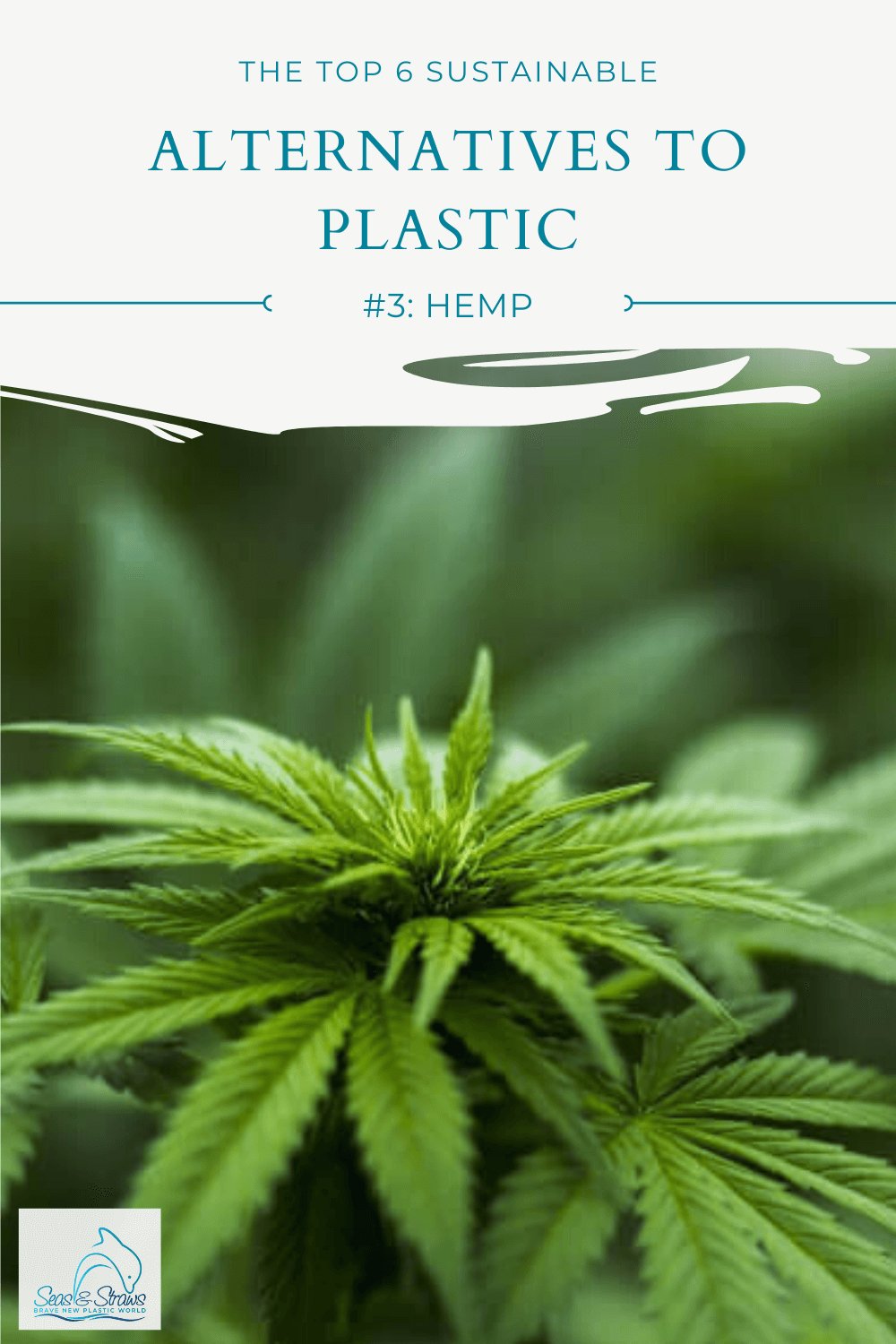 What is hemp plastic? Why is it so much better than conventional plastic? And can it make you high? Find out all the answers here.
