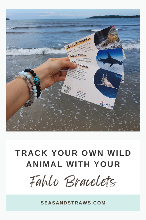 Track Your Own Wild Animal With These Beautiful Fahlo Bracelets