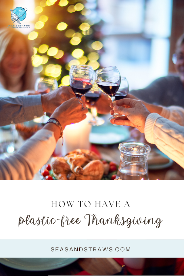 Thanksgiving can get pretty hectic with all the planning and organizing, and often enough it's also very wasteful. Use these tips to plan a fantastic plastic-free Thanksgiving.