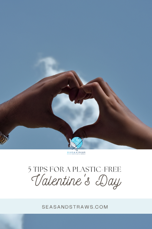 Valentine’s day is a time dedicated to expressing love and appreciation to the special people in our lives. Here are some tips for celebrating a plastic-free Valentine's Day.