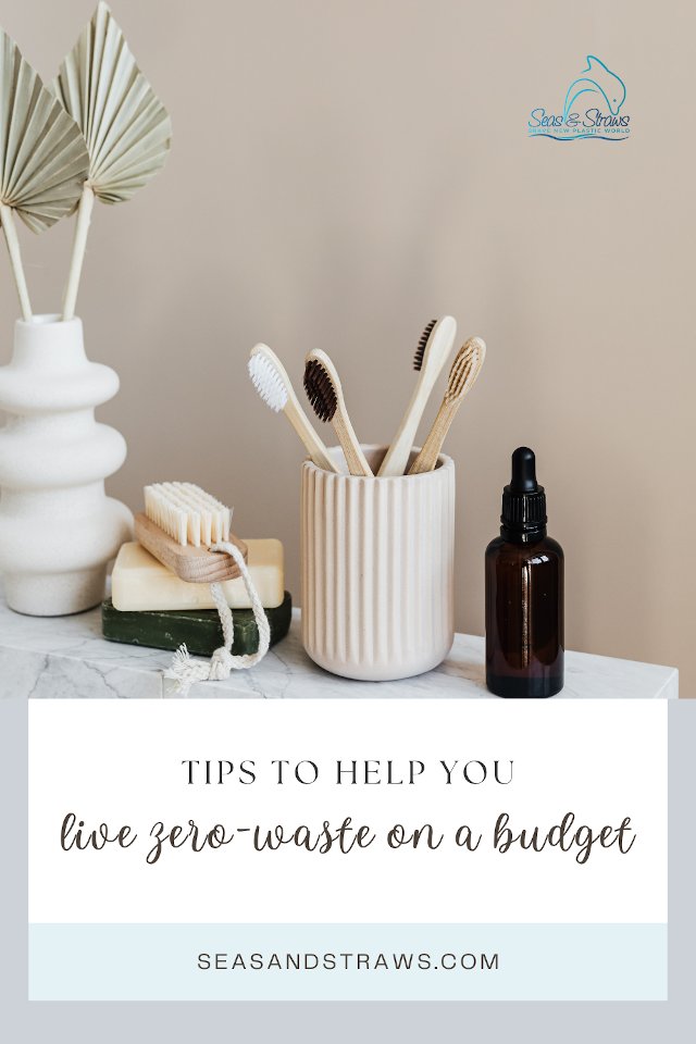 Do you want to know how to be zero-waste without having to replace all your household items with eco-friendly ones? You can get started simply by saving money instead of spending it.