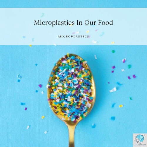 T2 microplastics in food