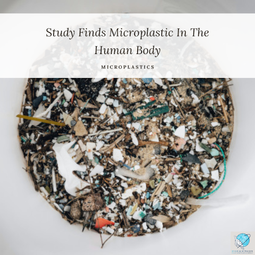 T2 microplastics in human body