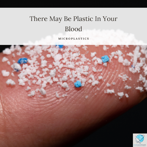 T2 microplastics in blood