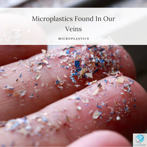 T2 microplastics in human veins